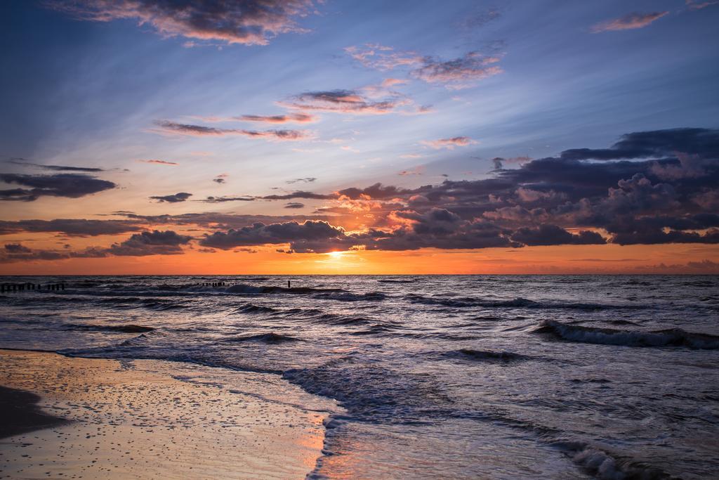 Omi * Kołobrzeg